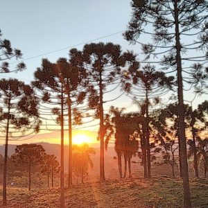 Fonte: Márcio Roberto Senna